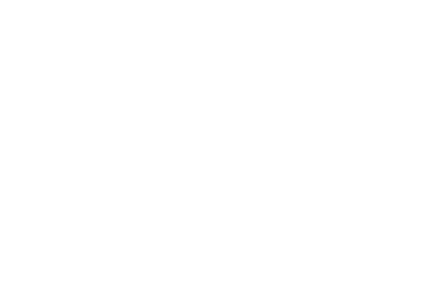 NV Med Aesthetics logo mobile